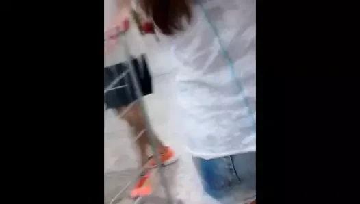 Gata fazendo compras