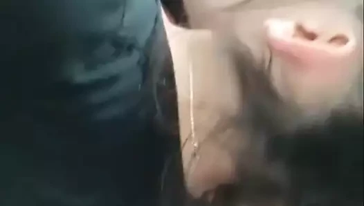 Lapanee
