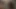 Döl sıçraması ile ormanda oral mutluluk - siyah xxx porno!
