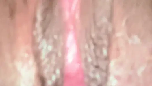 Seksi bakış açısı