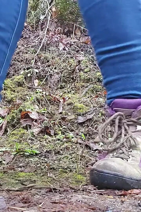 Yağmurlu Bir Günde Yürüyüş-n-sidik