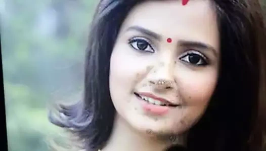 Bengalce aktris subhashree pis boşalmak haraç