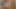 devar ne choda hai sauteli bhabhi ko aur bhabhi ne diya taang phaila kar chod full Hindi voice pura video Hindi me hai