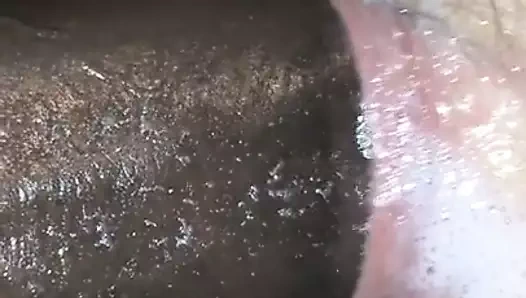 Athbbc4u kremsi kahrolası bir fahişe