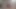 Vr yarağını emmeme izin ver