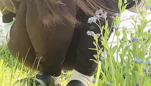 Bakım çiçek ağacı için sidik amcık
