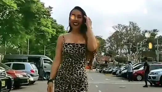 Vp08 - dorita orbegoso 79nuu