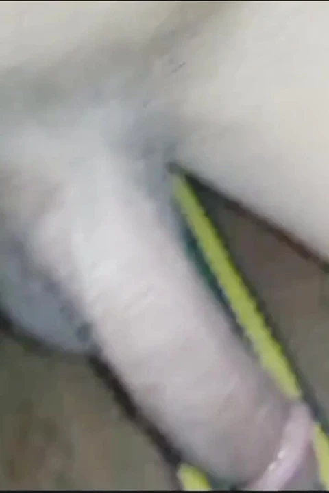 Pathan sikiş desi götü