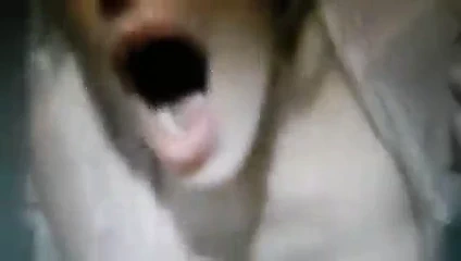 Şehir restoranında ve wc 3'te anal var