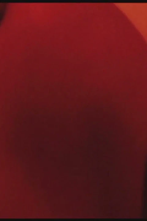 Gianna Michaels kız arkadaşına ilk anal sekste yardım ediyor