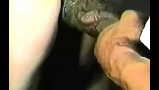 Beyaz kadın büyük bir karanlık çubuk tarafından cinsiyetli delikler alır