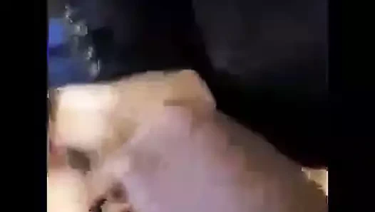 amatör MİLF alma dövülerek