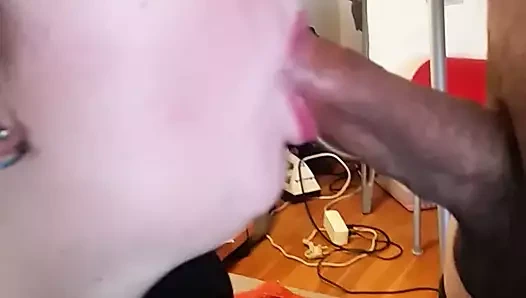 Comienza chupando huevos y polla