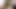 Ofiste garip kör orta yaşlı seksi kadın kafası karışık Lenny için oral seks yapıyor.