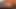 Adriana Chechik emiyor ve her pozisyonda sikişmeden önce götünü parmaklıyor