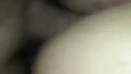 köpek stili xx içinde Scopata