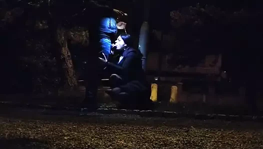 Fahişe halka açık parkta büyük şişman bir yarakla anlaşma yapıyor, tasmalı