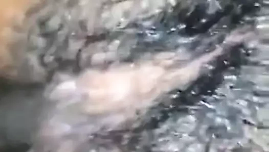 Hint suzan anal seks