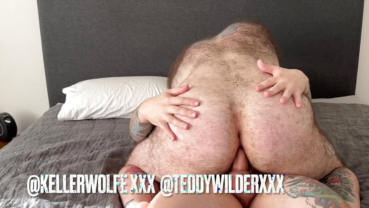 Teddy ve Wolfe