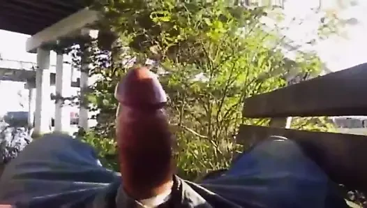 Str8 adam parkta bankta eller serbest