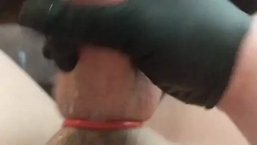 Çeşme için transeksüel horoz