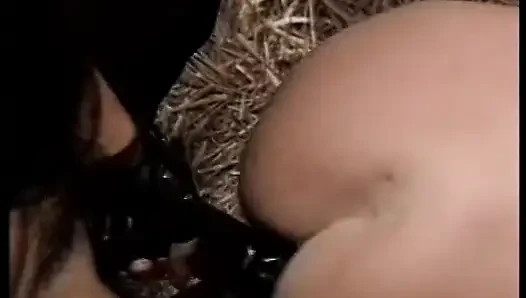 Muhteşem kovboy kızlar zevkiniz için ahırda birbirlerini sikiyor