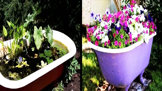 Bangla choti golpo. seks hikayesi.