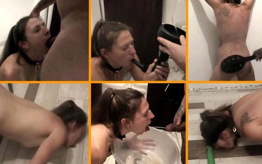 Köle için sidik ve şaplak eğitimi