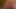 santas little helper under the Christmas tree now in full 4K high quality Ultra HD