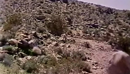 Kandi barbour derleme