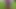 XXXXXXXXNXX