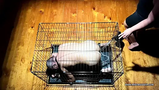 Dominatrix sahibe April - kölemle tatil