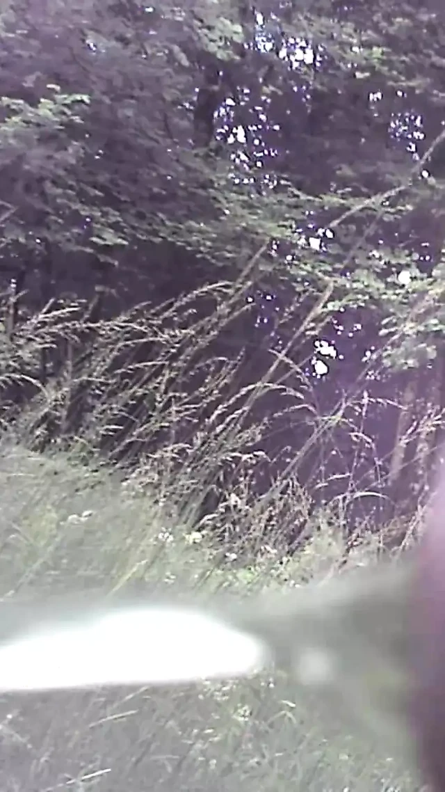 Большой член писает на улице