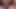 crossdresser dans