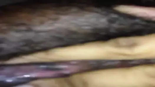 siyah kıllı ıslak KEDİ