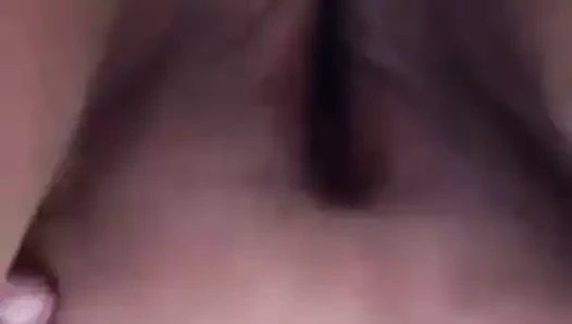 Gösterilen ona dev kedi