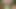 Man fucks woman with big cock in the forest, woman is very happy.