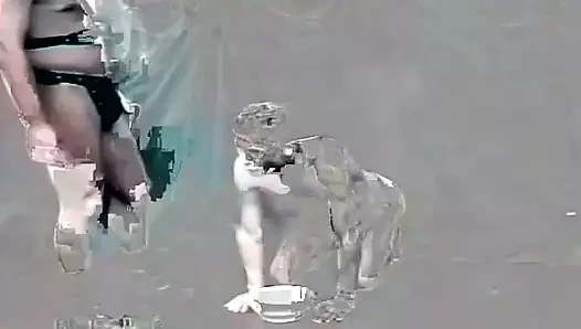 Eşcinsel lordlar bölüm 4 - (3 sahne 1'de)