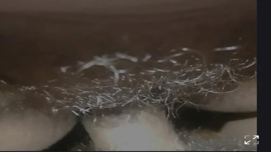 Hintli ateşli teyzeler domaltarak sert sikişiyor