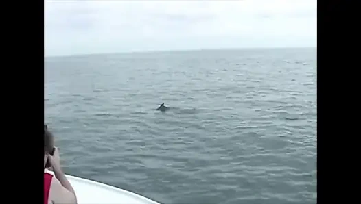 Bir teknedeki üç lezbiyen birbirleri için alıyor.