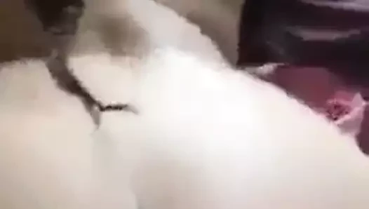 Sikiş