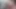 Sıcak seksi tranny tgirl ile güzel memeler mastürbasyon ve sağladım