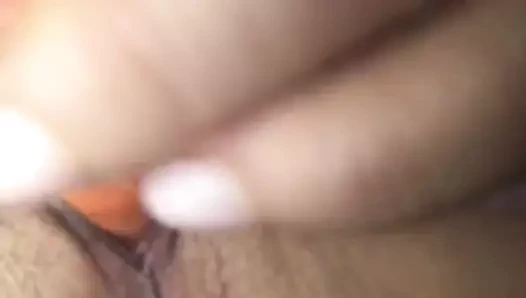 Havuç içinde kıllı kedi