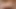 2 büyük baştankara bbws almak becerdin tarafından bbc