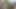 Sıska adamın sikini oturma odasında emiyor ve sonra götünü sikmesine izin veriyor.