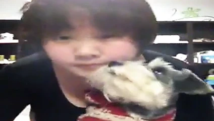 amatör şişman çinli piliç