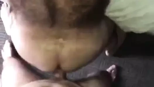 Kutup ayısı dedesi aldığı gibi