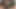 Tgirl ile dev penis ve taşaklar sağladım