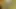 Anal binici mastürbasyon yapmadan boşalıyor ve fışkırtıyor