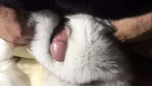 Tilki kürkü mastürbasyon ve kürk üzerinde boşalmak - kürk fetişi - kürk seks